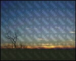 BP0810-BLRDG003