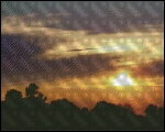 BP0810-BLRDG008